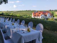 TAFELN mit Blick über die Weingärten - 26.07.2025 in Poysdorf