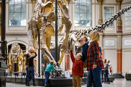 Natural History Museum Berlin: Time-Slot Ticket Time slot Ticket Family (2 Adults + 3kids<14y)