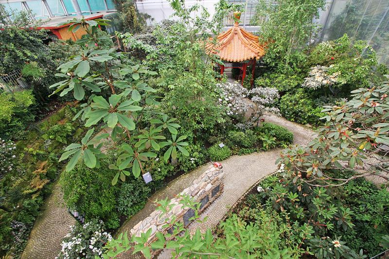 Botanika Garden: Taman Indah yang Menyegarkan Jiwa dan Pikiran