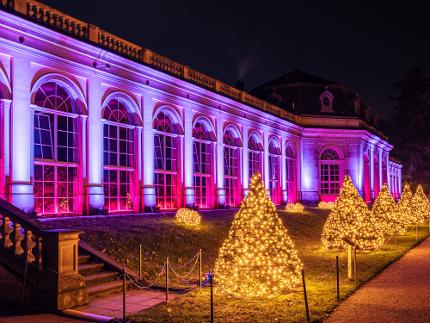 Eintritt "Christmas Garden Dresden" - Familien - 2 Erwachsene + 3 Kinder (6-14 Jahre)