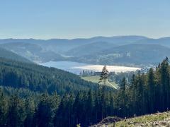 Zartenbach B&B Hinterzarten | Schwarzwald Tourismus GmbH Unterkünfte