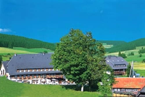 Hotel Zum Löwen - Unteres Wirtshaus, (Titisee Ferienwohnung 
