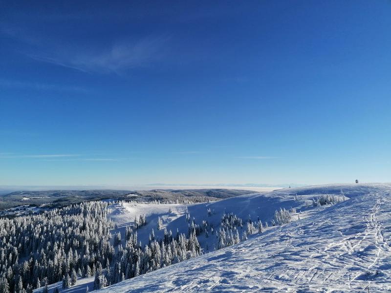 Winterlandschaft am Feldberg