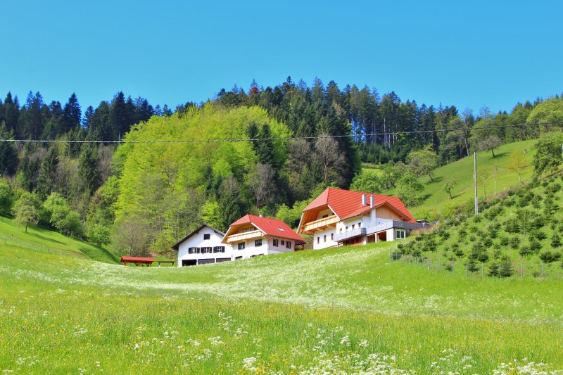 Stinneshof, (Oberharmersbach). Ferienwohnung, 50qm Ferienwohnung  Schwarzwald