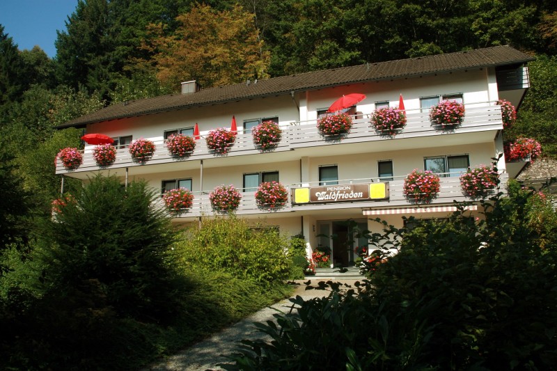 Pension Waldfrieden, (Oberharmersbach). Doppelzimm Ferienwohnung  Schwarzwald