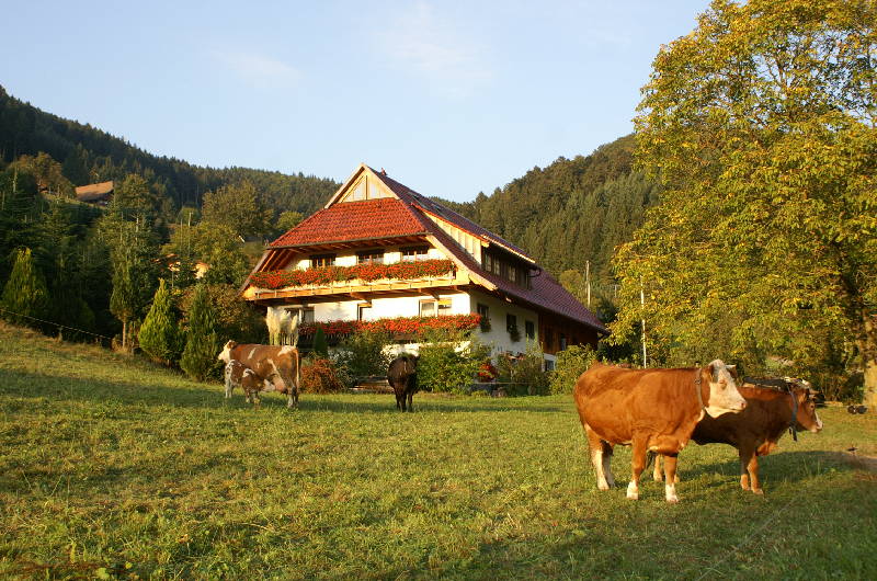 Unterer Gurethshof, (Zell am Harmersbach). Schwalb Ferienwohnung 