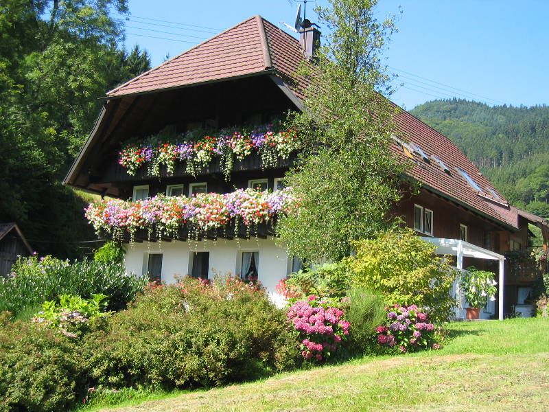 Ferienwohnungen Haus Schneider, (Gutach). Ferienwo Ferienwohnung  Gutach