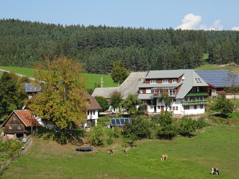 Typischer Schwarzwaldhof in sonniger Lage