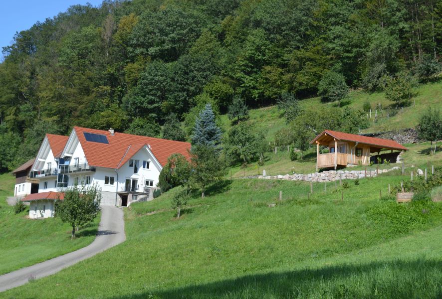Ferienwohnung im Herzen des Renchtals, (Oppenau-In Ferienwohnung  Schwarzwald