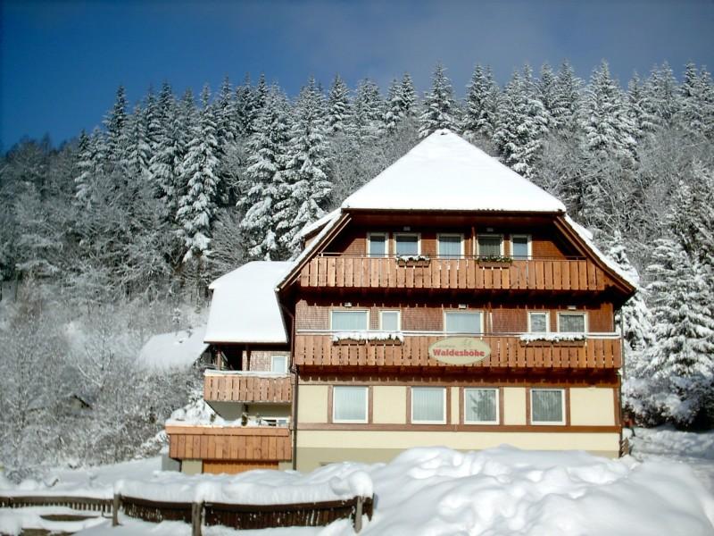 Landhaus Waldeshöhe im Winter