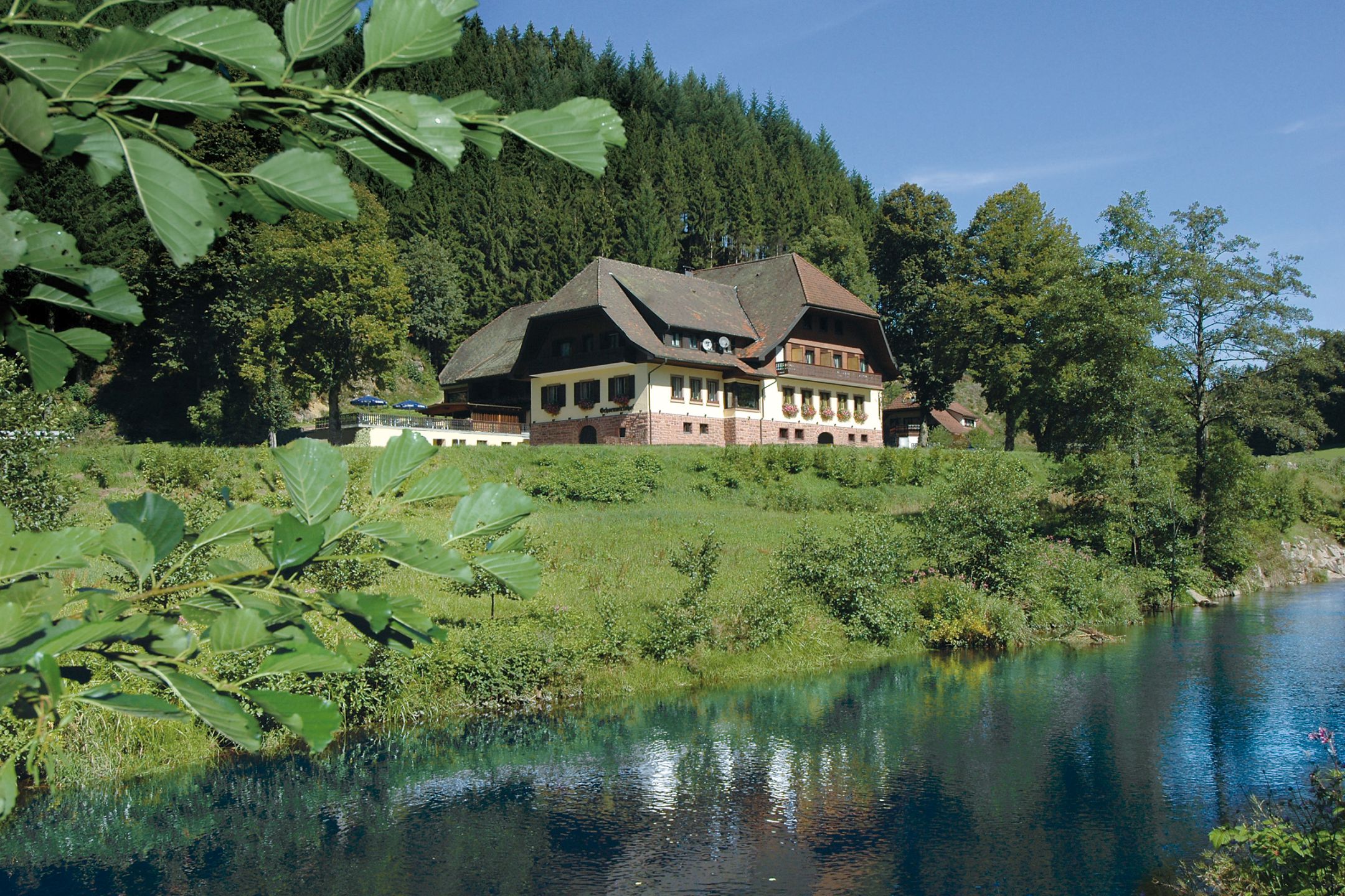 Hotel Ochsenwirtshof, (Bad Rippoldsau-Schapbach).  Ferienwohnung  Schwarzwald