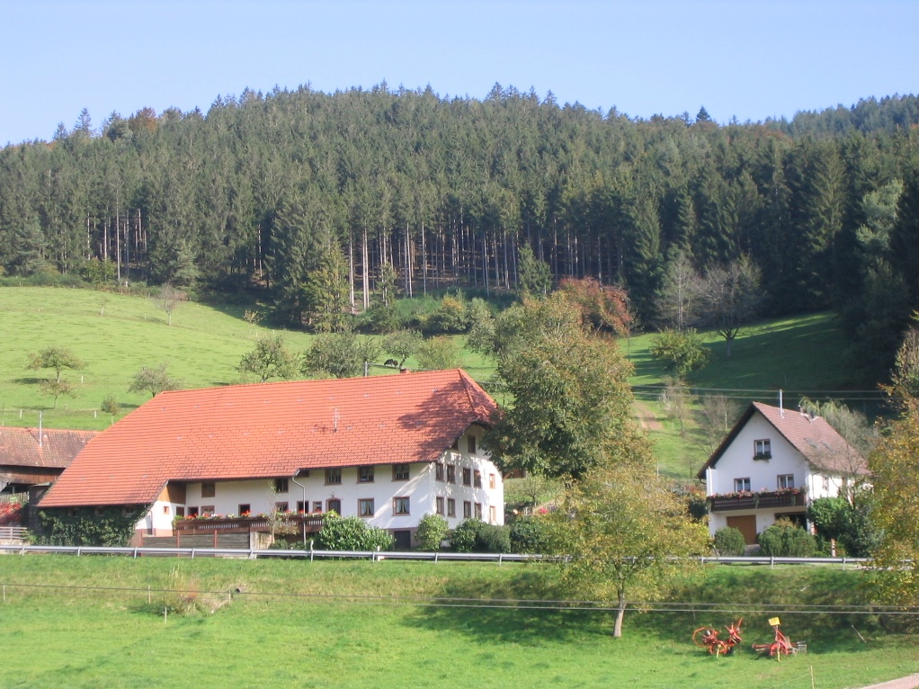 Dorerhof Prechtal, (Elzach). Ferienwohnung Talblic Ferienwohnung in Deutschland