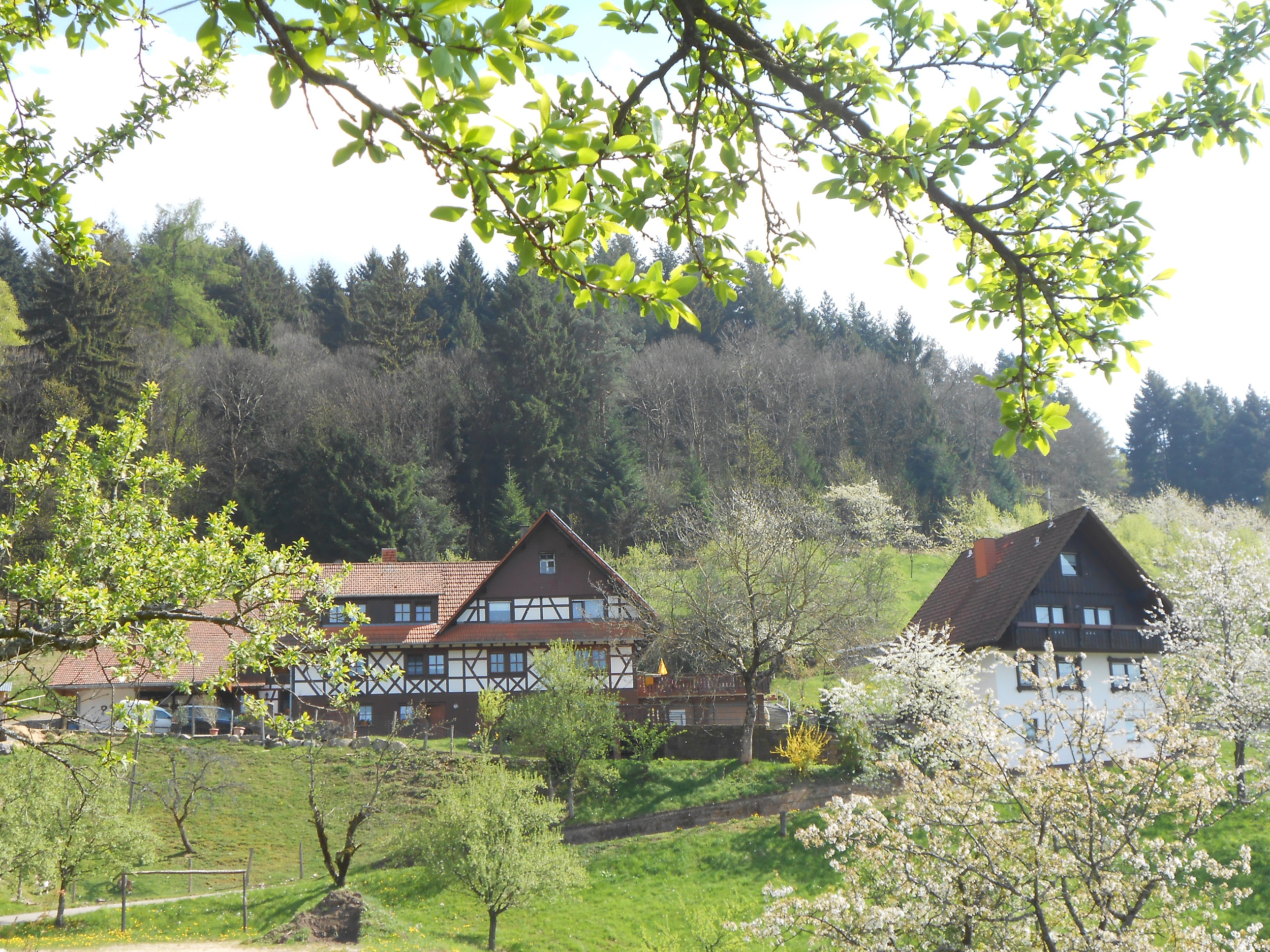 Ferienhof Fischer, (Seebach). Ferienwohnung Kirsch Ferienwohnung 