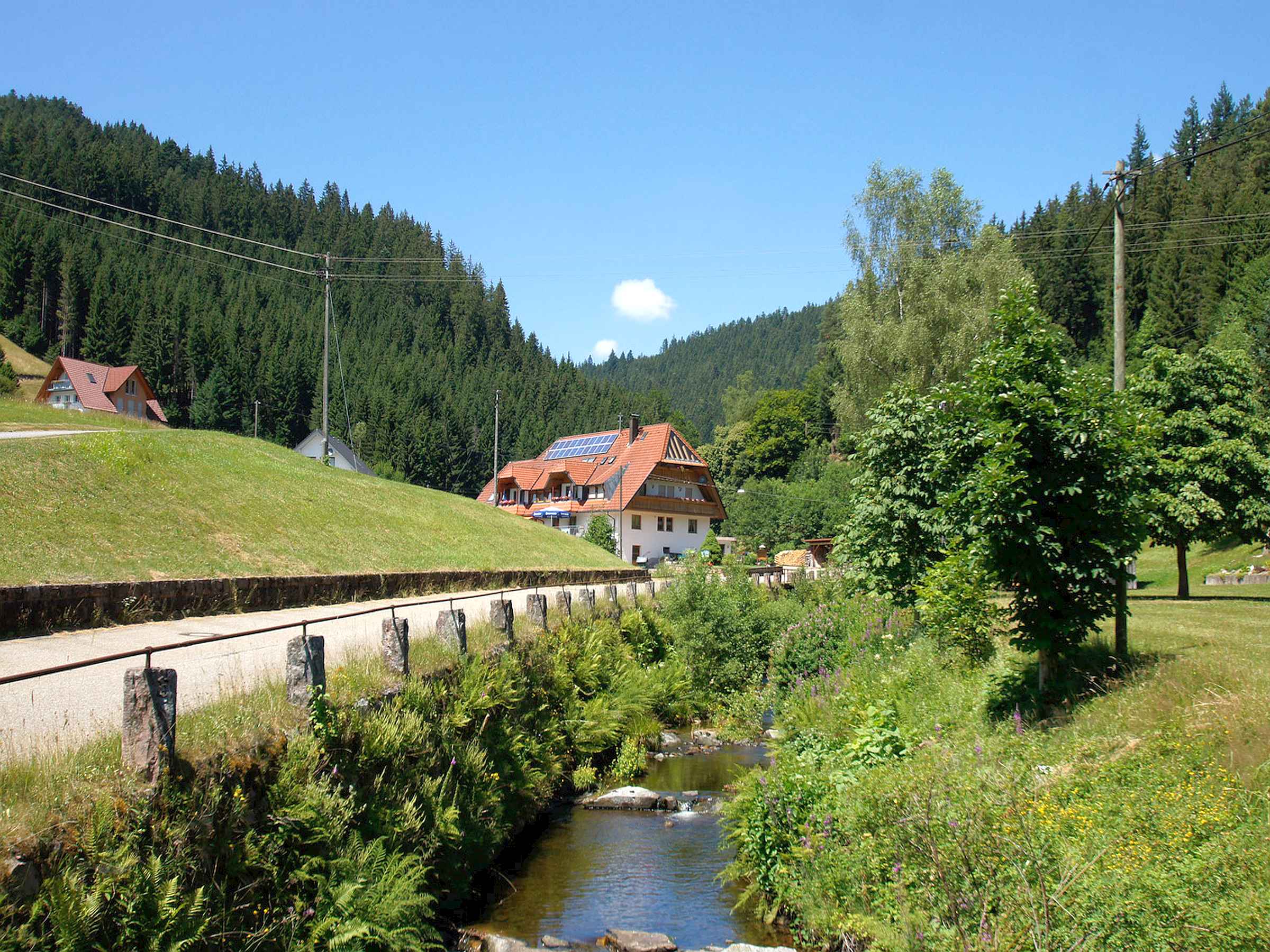 Gästehaus Herrmann, (Bad Rippoldsau-Schapbach Ferienwohnung  Schwarzwald
