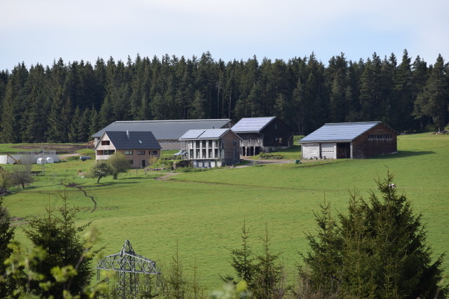 Kammererhof-Oberkirnach, (St. Georgen). Ferienwohn