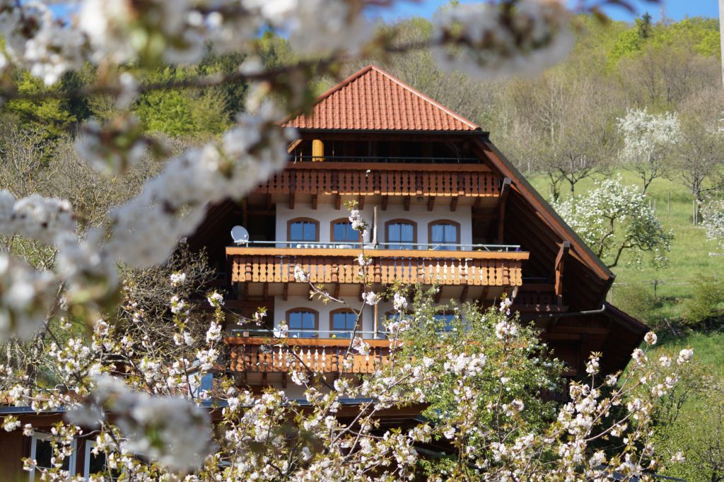 Ferienparadies Faißt, (Bad Peterstal-Griesba Ferienwohnung  Schwarzwald