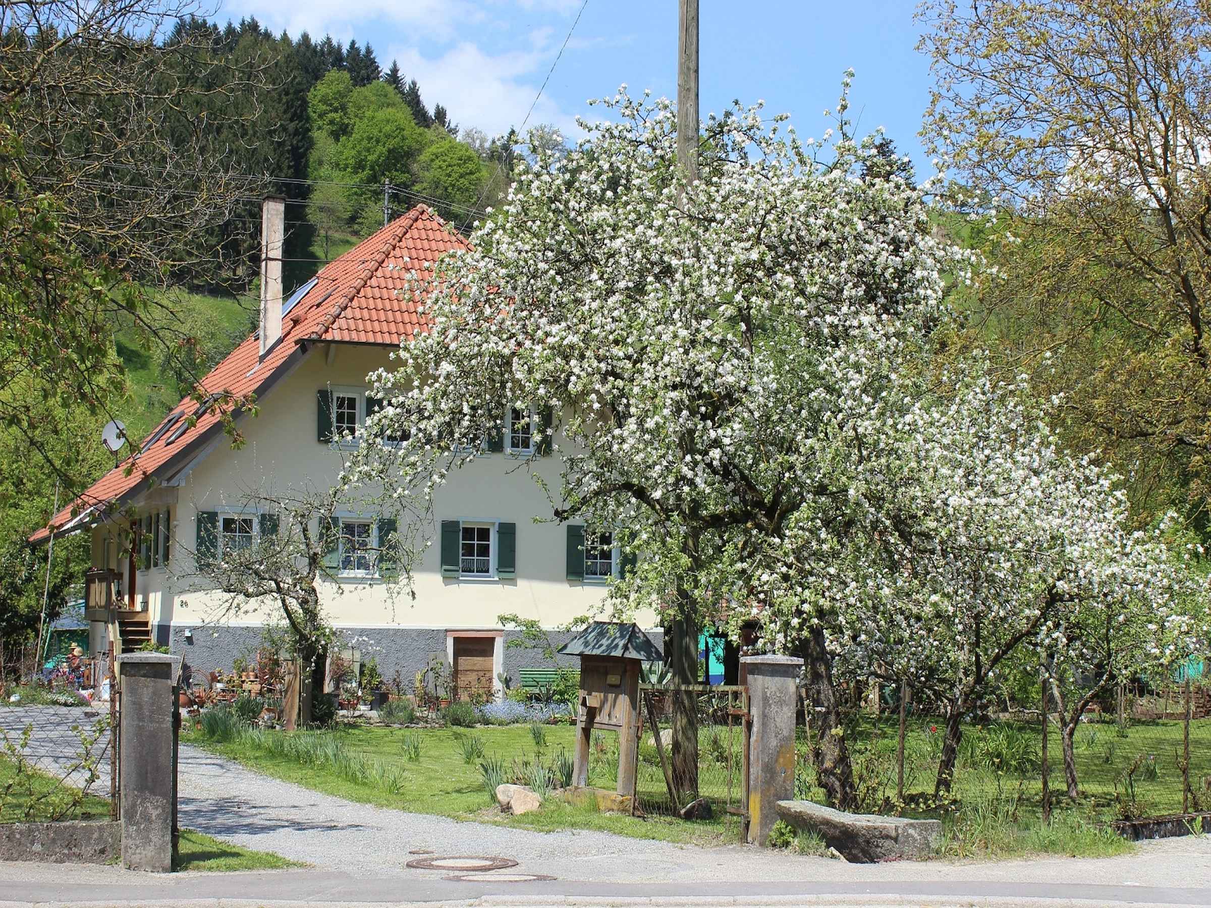 Haus am Bach, (Steinach). Ferienwohnung, 40qm, 1 S