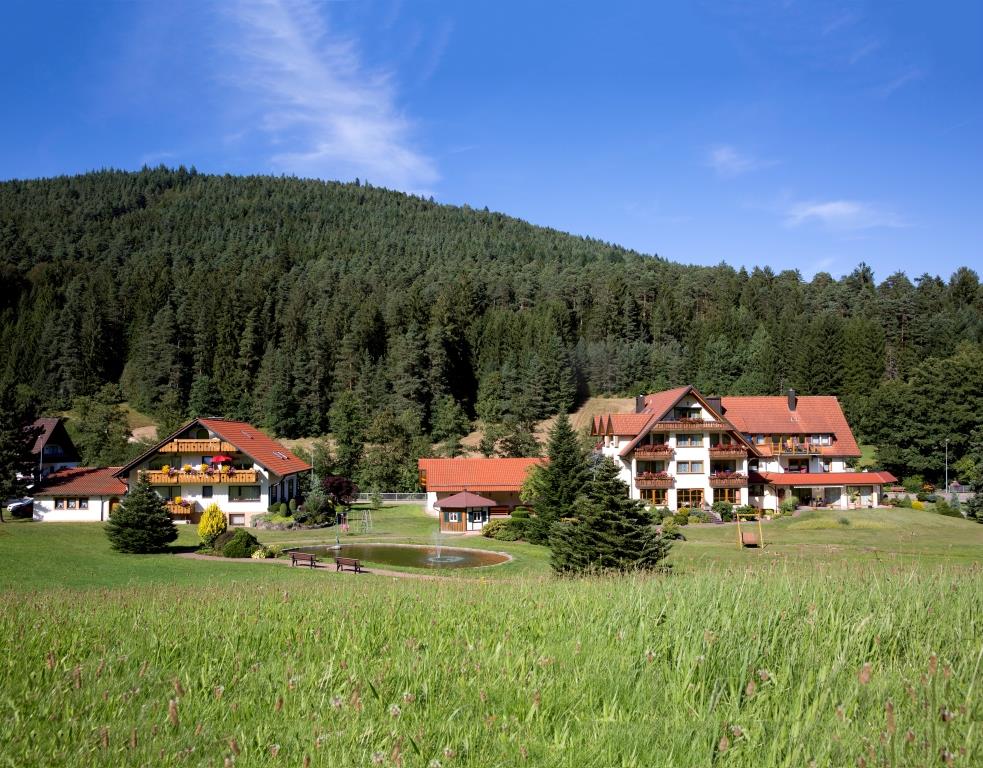 Landhaus Mühlengrund, (Baiersbronn). Ferienwo Ferienwohnung  Schwarzwald