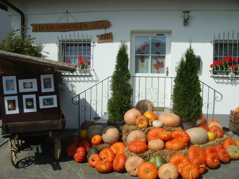Ferienwohnung Kronengarten Meersburg Einzimmerappartement mit eigener Terrasse und Liegewiese