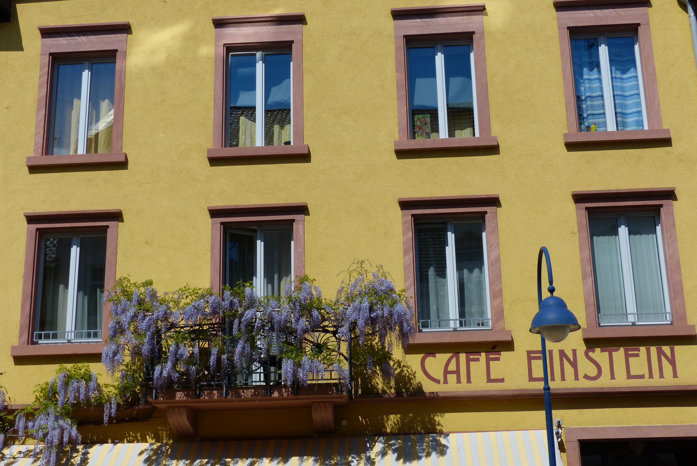 Apartments im Café Einstein, (Freiburg). Ap Ferienwohnung  Schwarzwald