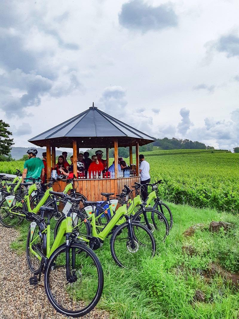 Kaiserstuhl-Charme auf dem E-Bike erleben Pause