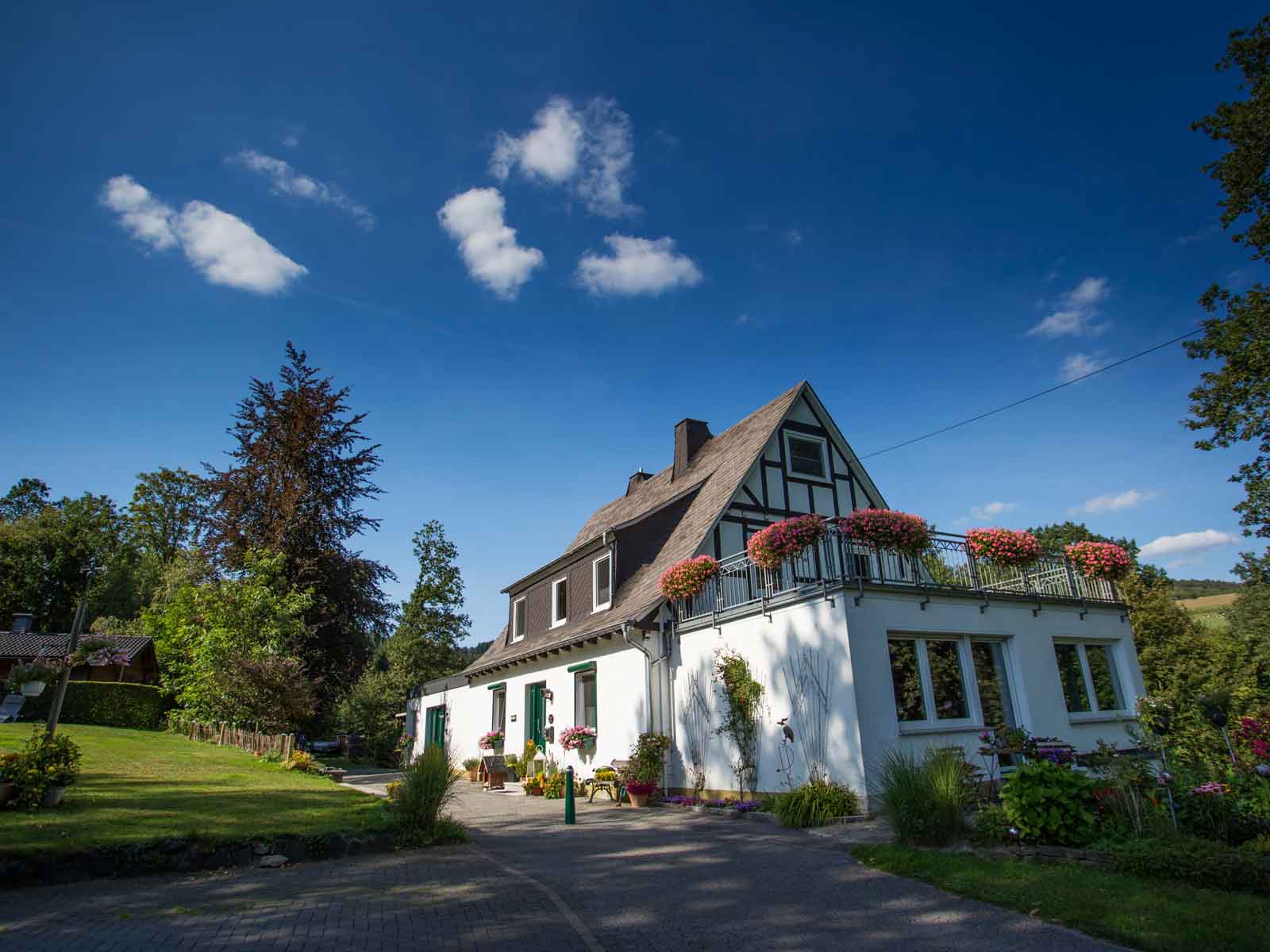 Pension Haus am Walde, (Schmallenberg). Doppelzimm Ferienhaus in Nordrhein Westfalen