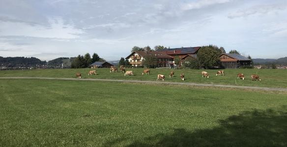 Aussicht zum Benihof