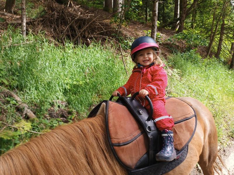 Mit dem Pony in die Natur