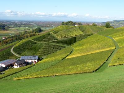 herbst201335