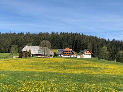 Rengethof