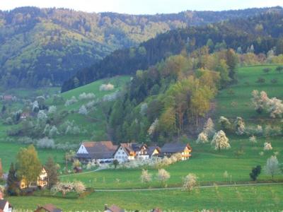 Scharbachhof im Glottertal