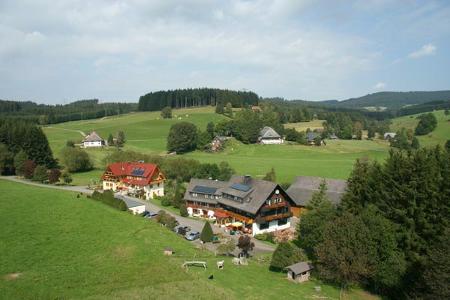 Blick auf das Hofgut Rombach