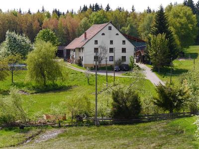 Der Bellihof im Frühling