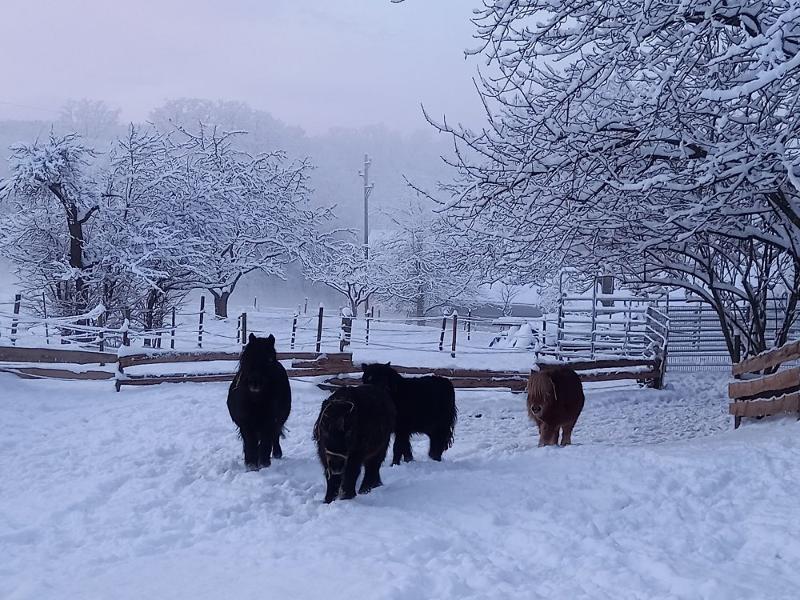 Winter auf dem Bauernhof