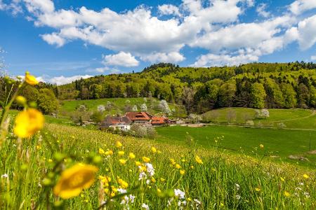 Frühling auf dem Sesterhof