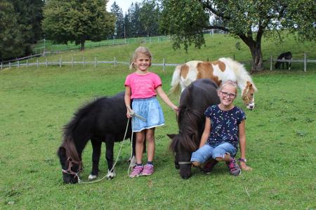 unsere Ponys