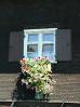 Fenster mit Blumendeko