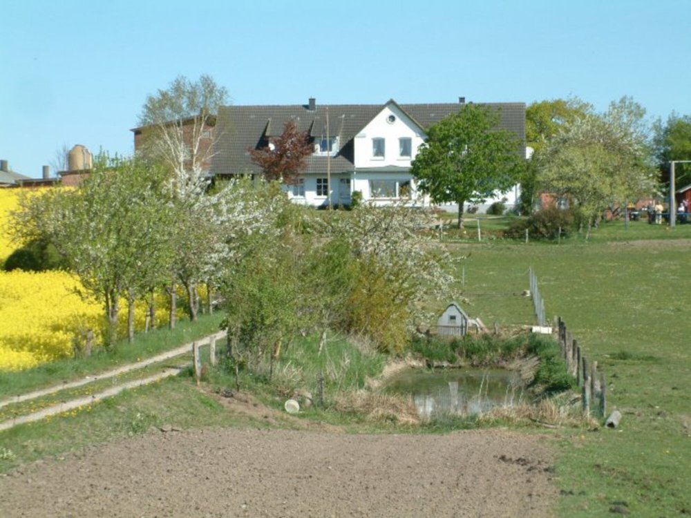 Hansenhof (Stadt Kappeln). Sonnenblume Ferienwohnung  Holsteinische OstseekÃ¼ste