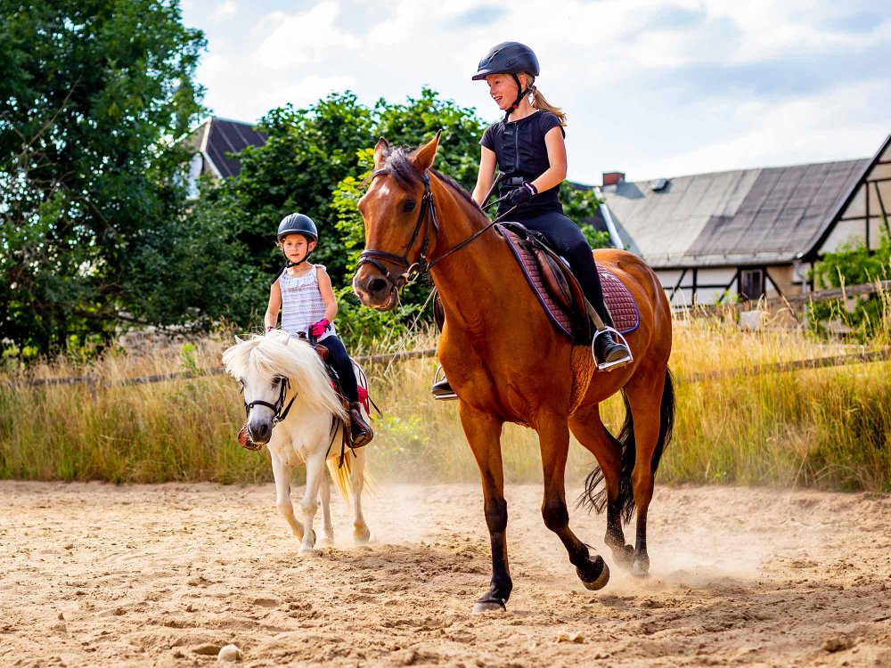 Pferd - Spaß - Entspannung (Auma-Weidatal).  Ferienwohnung  Vogtland