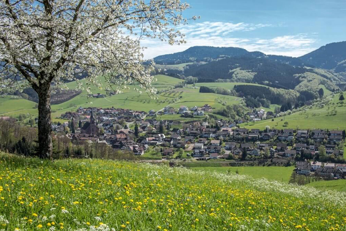Das ist unser schönes Dorf Oberharmersbach im Frühling
