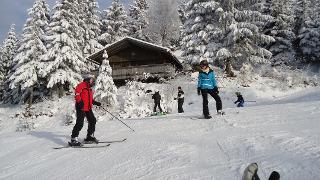 Skifahren ist richtig schöne - in 15 bis 30 Minuten sind die Skigebiete St.Englmar, Geißkopf und das Arbergiet zu erreichen.