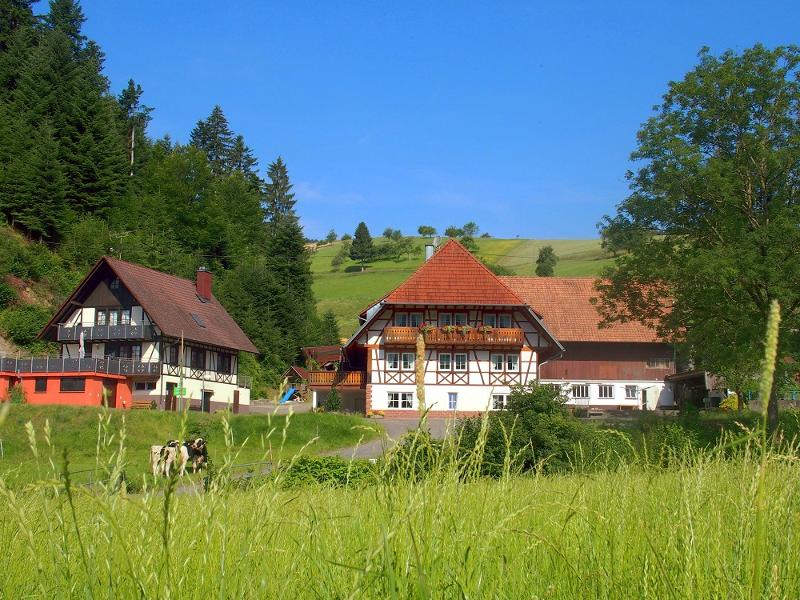 Der Hochenhof im Mitteltal