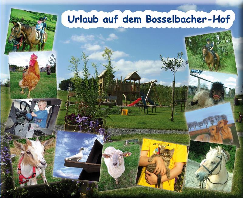 Bosselbacher-Hof