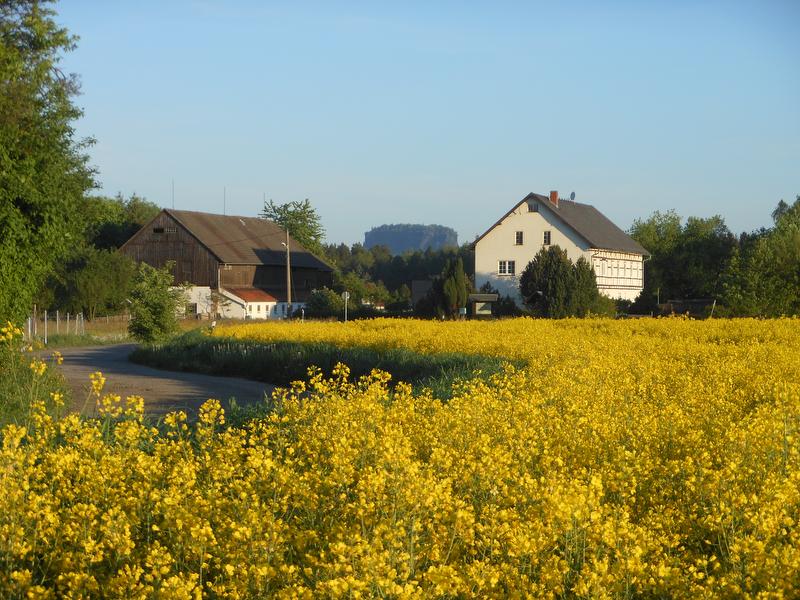 Bauernhof mit Lilienstein im Hintergrund