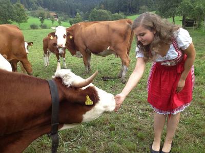 Nähe zu den Tieren