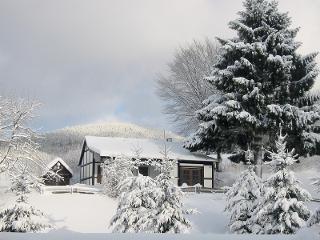 Ferienhaus Wollmeiner - Oberrarbach