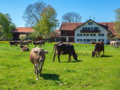 unseremdelsaufderweide