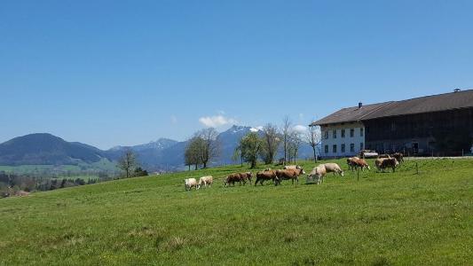 Biohof Unterstadl