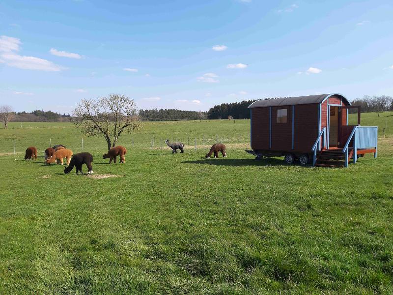 Schlafwagen Alpaka Farm Inti Kierspe Sauerland Unterk nfte