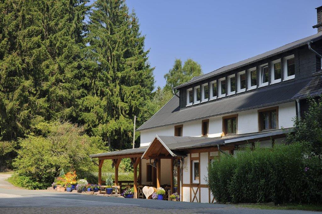 Landhotel Baumwipfel (Willingen (Upland)). Familie Ferienwohnung in Deutschland